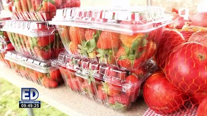 Comidas y shows: vuelve la Feria Turística de Pachacámac