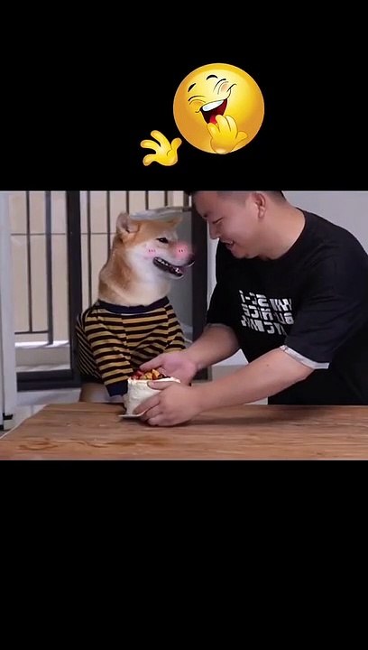 Funny video 07