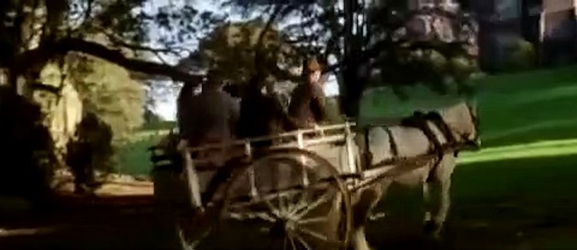 Le Monde de Narnia : Le Lion, la sorcière blanche et l'armoire magique Bande-annonce (IT)