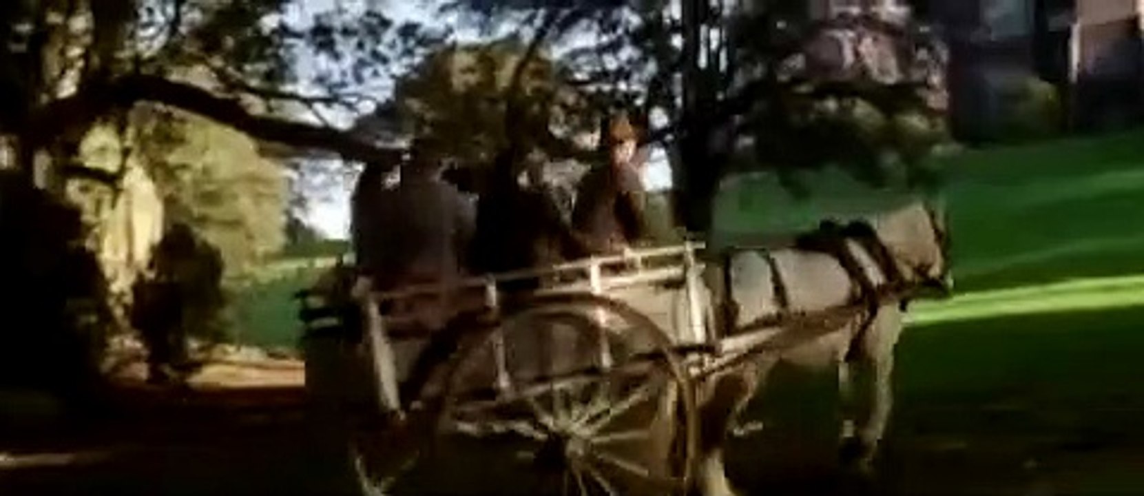 Le Monde de Narnia : Le Lion, la sorcière blanche et l'armoire magique Bande-annonce (IT)