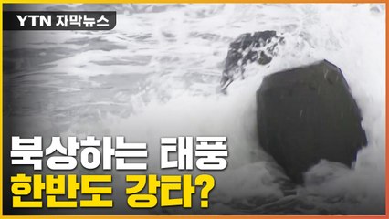 [자막뉴스] 12호 태풍 '무이파'...한반도 영향은? / YTN