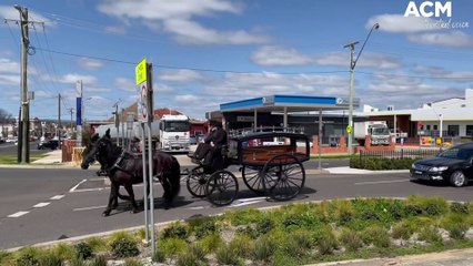 Restored carriage used for funerals | September 12, 2022 | Western Advocate