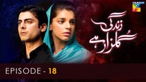 Zindagi Gulzar Hai - Episode 18 - [ HD ] - ( Fawad Khan & Sanam Saeed )  Drama