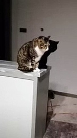 Before & After Naked videos - Dailymotion