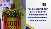 People against dam project on river Narmada created multiple hindrances: MP CM Chouhan