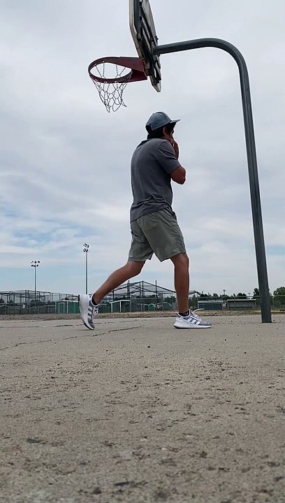 Dog Rebounding Basketball Jumps into Pole