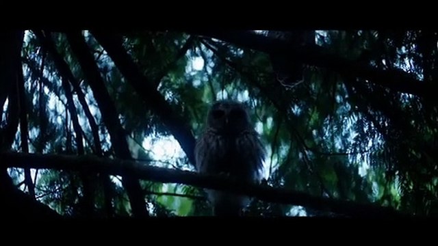 PERCY JACKSON AND THE OLYMPIANS Teaser (2022)