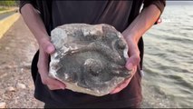 Bursa haber | İznik Gölü'nde tarihi taş kalıntısı bulundu