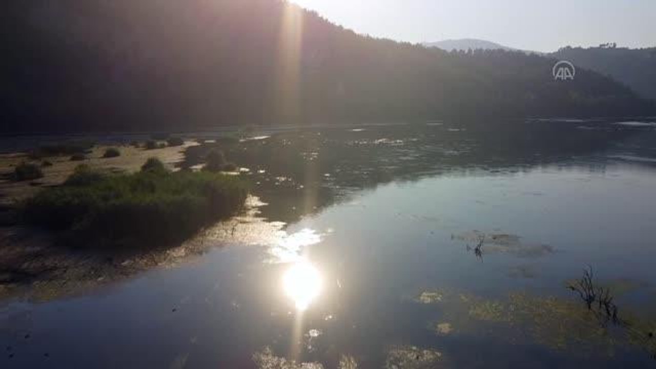 Adana haber... Debisi düşen Ceyhan Nehri yeşilin tonlarına büründü