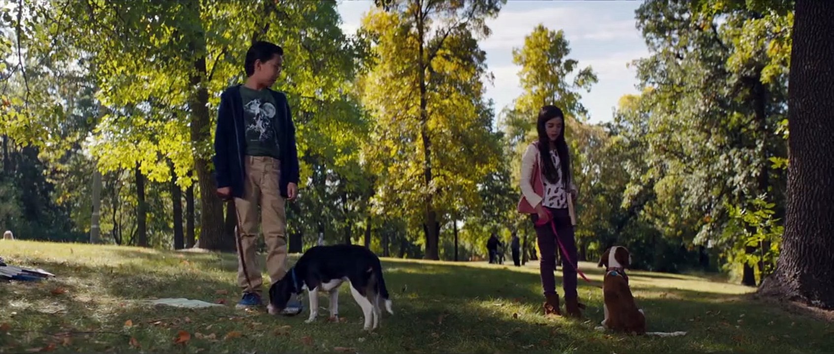 Bailey - Ein Hund kehrt zurück Trailer (2) OV