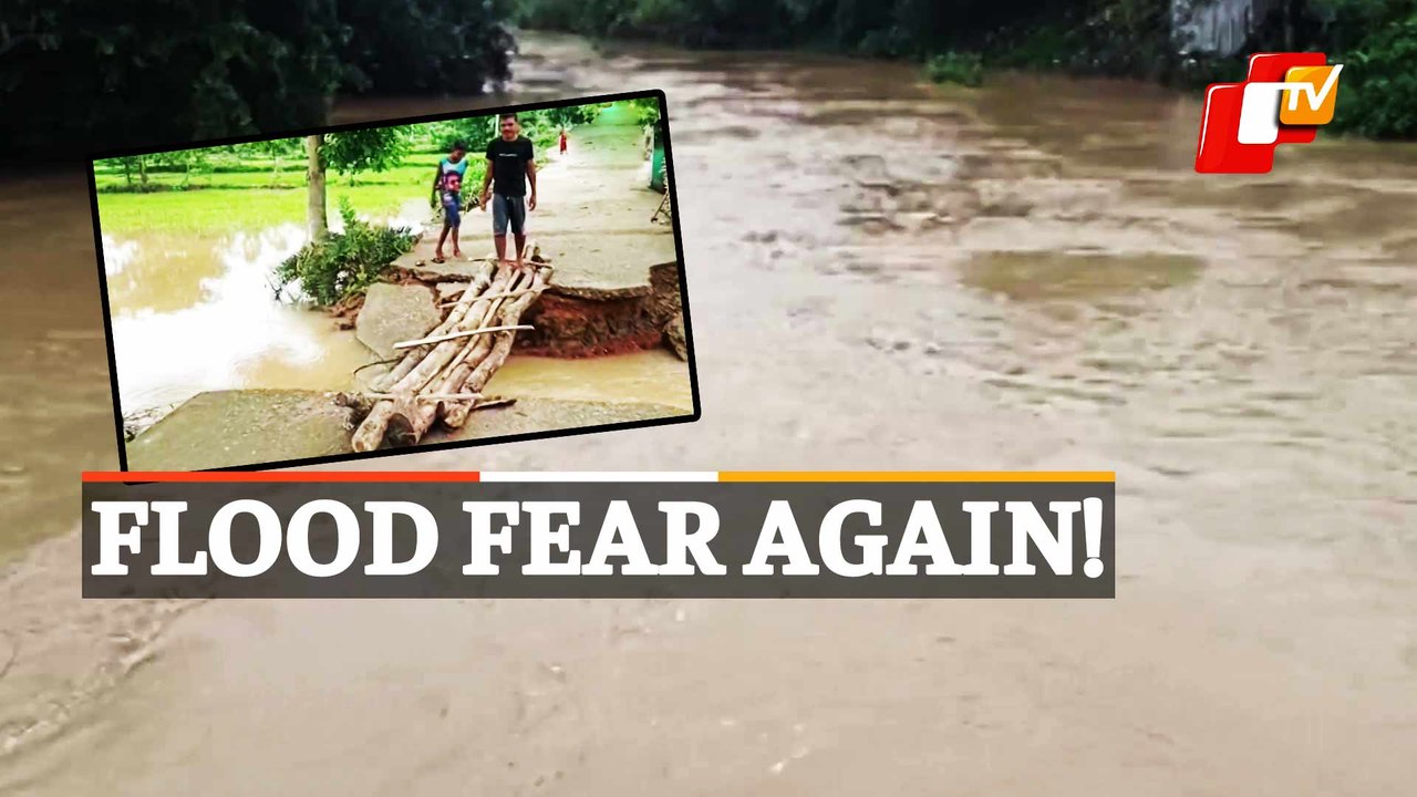 Incessant Rain & Depression Update: Jalaka River breaches danger level, Indravati canal collapses