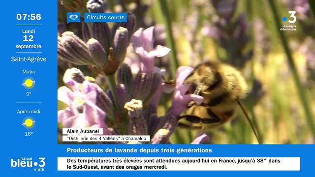 À Chamaloc, Distillerie des 4 Vallées , lavandes, lavandins, huiles essentielles, délices, cosmétiques...