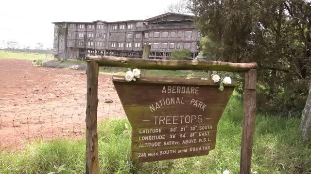 Elizabeth'in prenses olarak gelip kraliçe olarak ayrıldığı Kenya'daki otel: Treetops