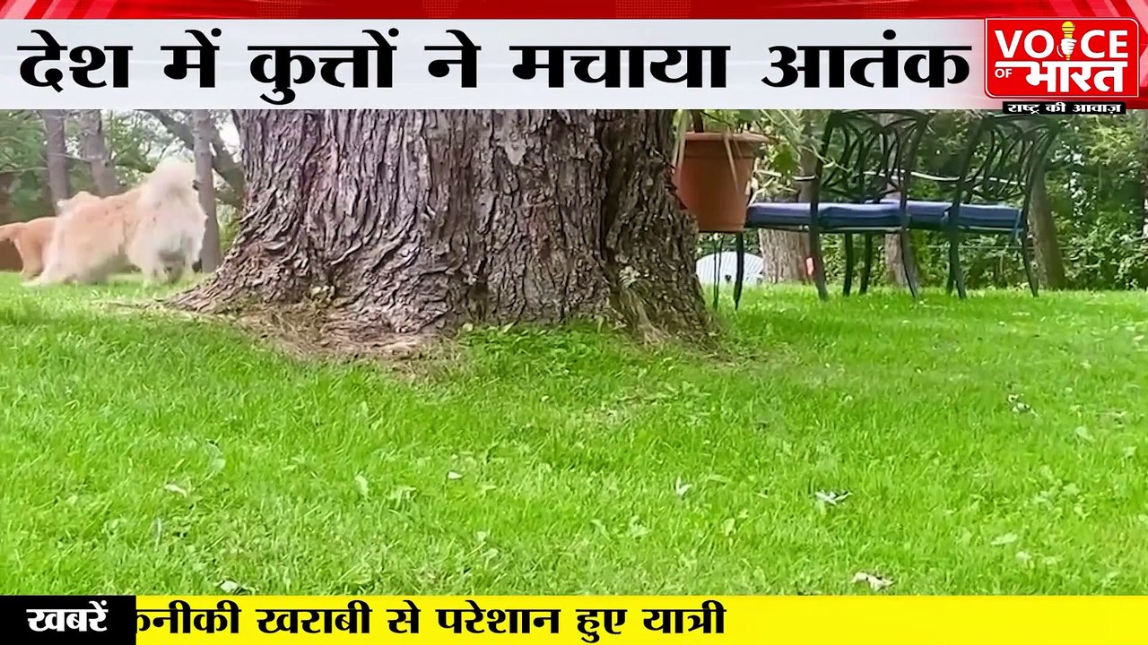 Is your pet dog turning aggressive? जानिए आजकल कुत्ते इतने हिंसक