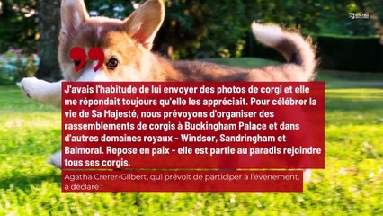 Les propriétaires de corgis vont rendre hommage à la reine Élizabeth II !