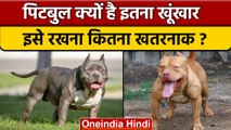 Pitbull Dog की Lucknow से लेकर Ghaziabad तक दहशत, जानिए कौन नस्ल सबसे खतरनाक |वनइंडिया हिंदी | *News