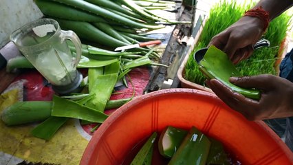 Amazing Street Alovle Vera Juice of Hyderabad   Indian Street Food