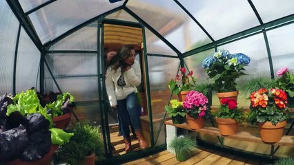 Tiny house : mini-maison à emporter - 12 septembre