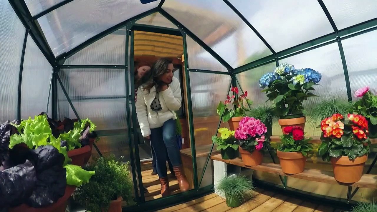 Tiny house : mini-maison à emporter - 12 septembre