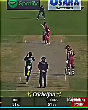 Top best fielding cricket | top best catches |Cricket fielding |top cricket catches