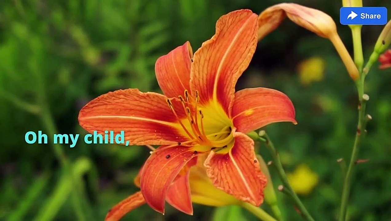 God's Message today! God's message today for me! God's message today prophetic word! Divine message