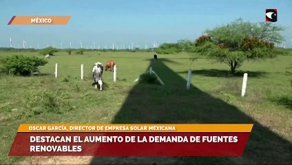 Destacan el aumento de la demanda de fuentes renovables