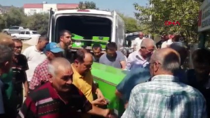 Orman işçisi tomrukların altında kaldı