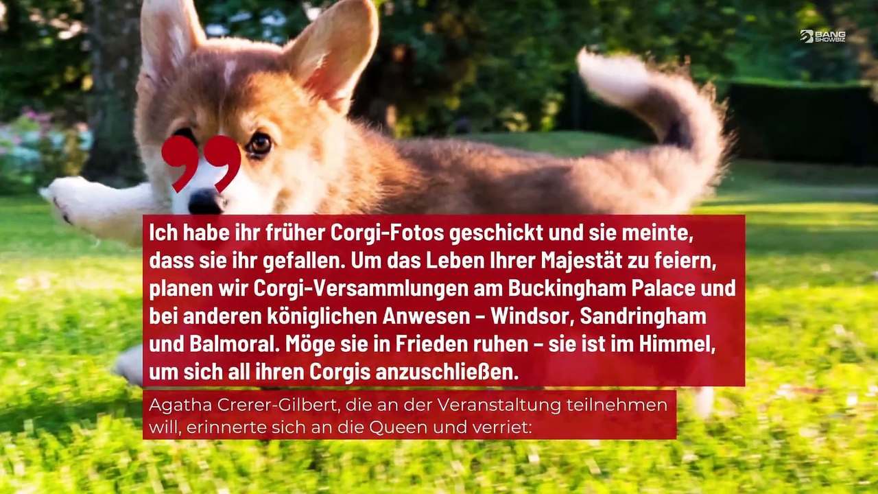 Corgi-Besitzer zollen verstorbener Königin Elizabeth II. Tribut