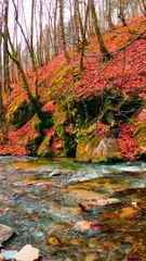 Manusia itu (dahulunya) umat yang satu (dalam ketauhidan) | QS. Al-Baqarah : 213