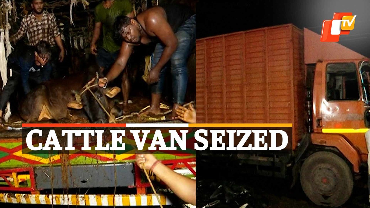 Cattle smuggling van seized near Bhubaneswar