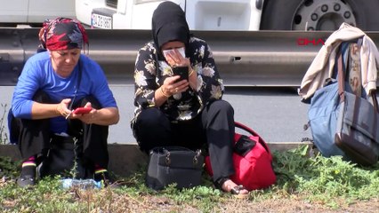 Kocaeli TEM'de zincirleme kaza