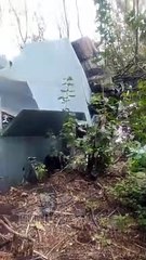 War in Ukraine , Russian plane shot down