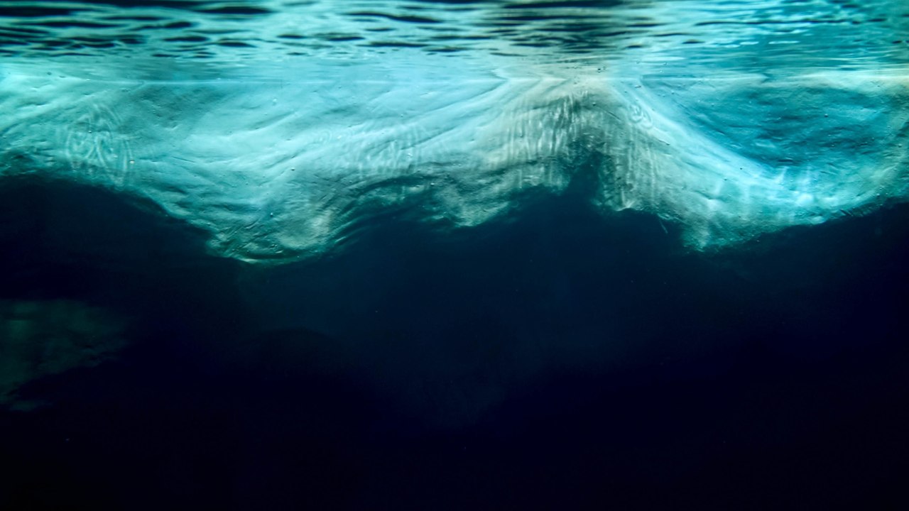 Arctique : de mystérieux virus "géants" découverts dans un rare lac