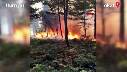 Tokat’ta aynı yerde ikinci kez orman yangını çıktı