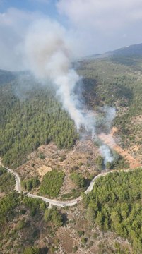 Antalya haberleri! Alanya'da çıkan orman yangınına müdahale ediliyor