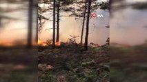 Tokat haberleri! Tokat'ta aynı yerde ikinci orman yangını