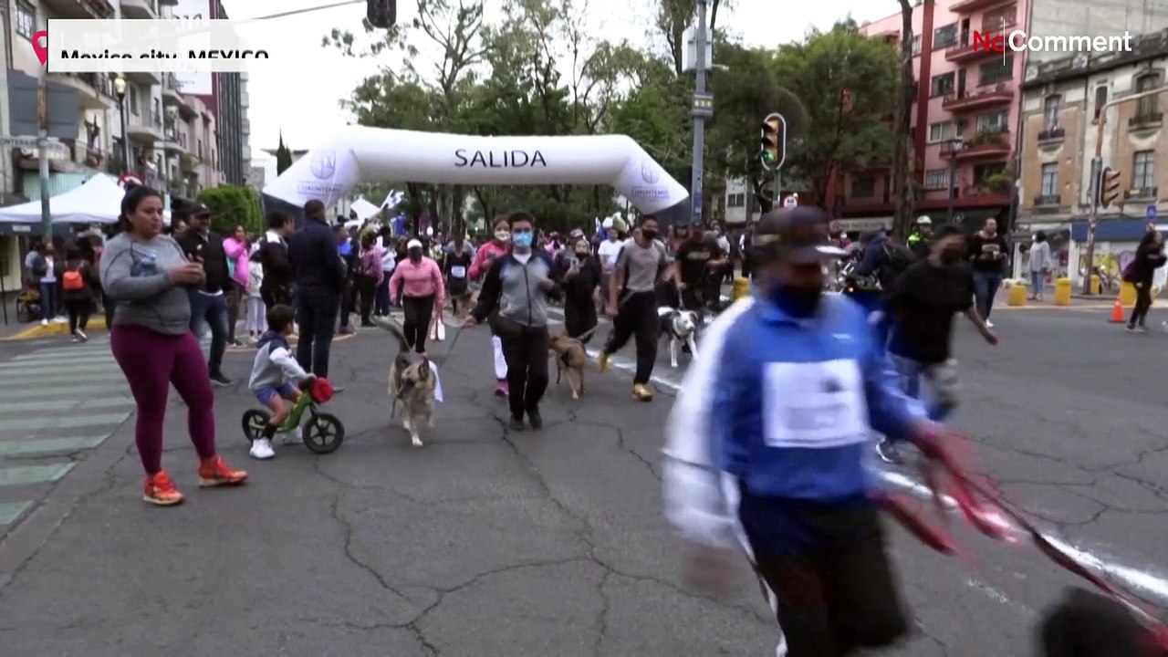 Besonderer Marathon in Mexiko-City: Rivalen werden einfach weggebissen