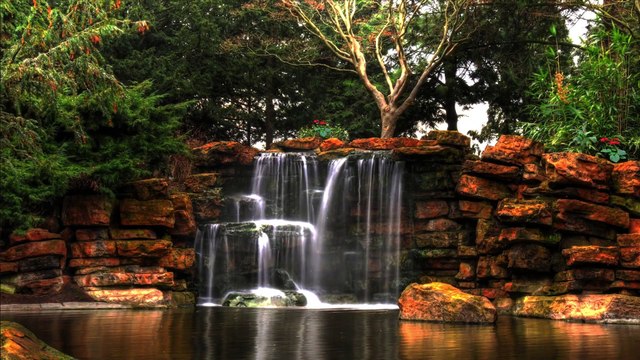 Beach Alps Forest Waterfalls Sunset Free HD Videos no copyright