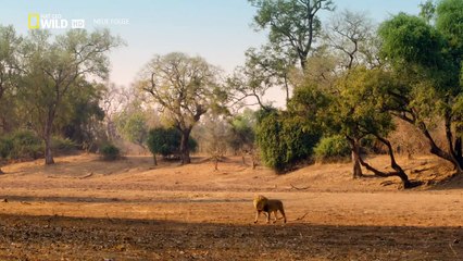 Afrikas Jäger Staffel 2 Folge 3 HD Deutsch
