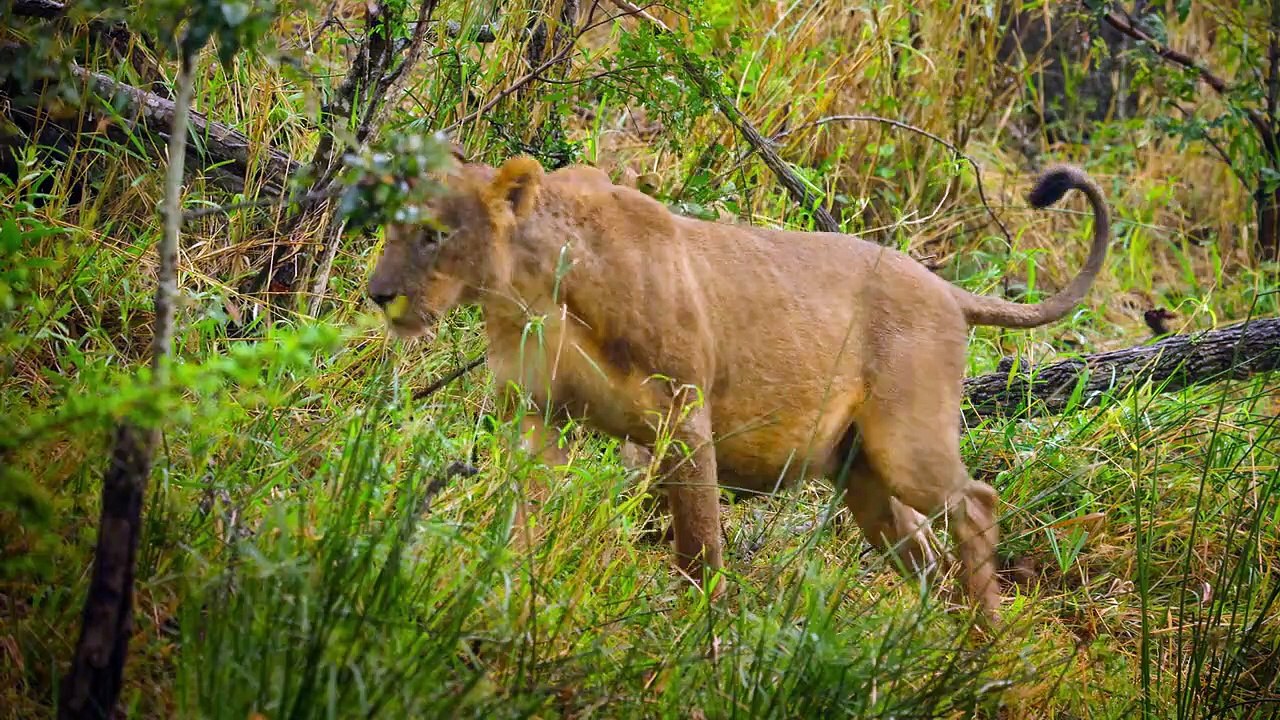 Wilde Babys Staffel 1 Folge 3 HD Deutsch