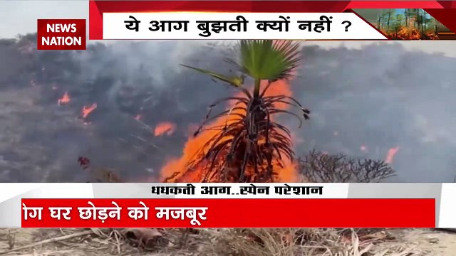 Spain Forest Fire: स्पेन- जंगलों में लगातार फैल रही आग