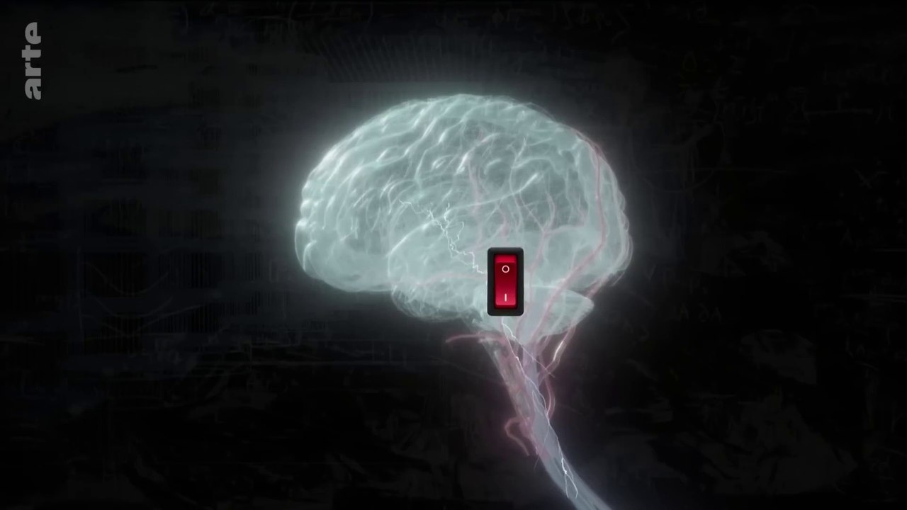 Schlafen um jeden Preis | Doku HD