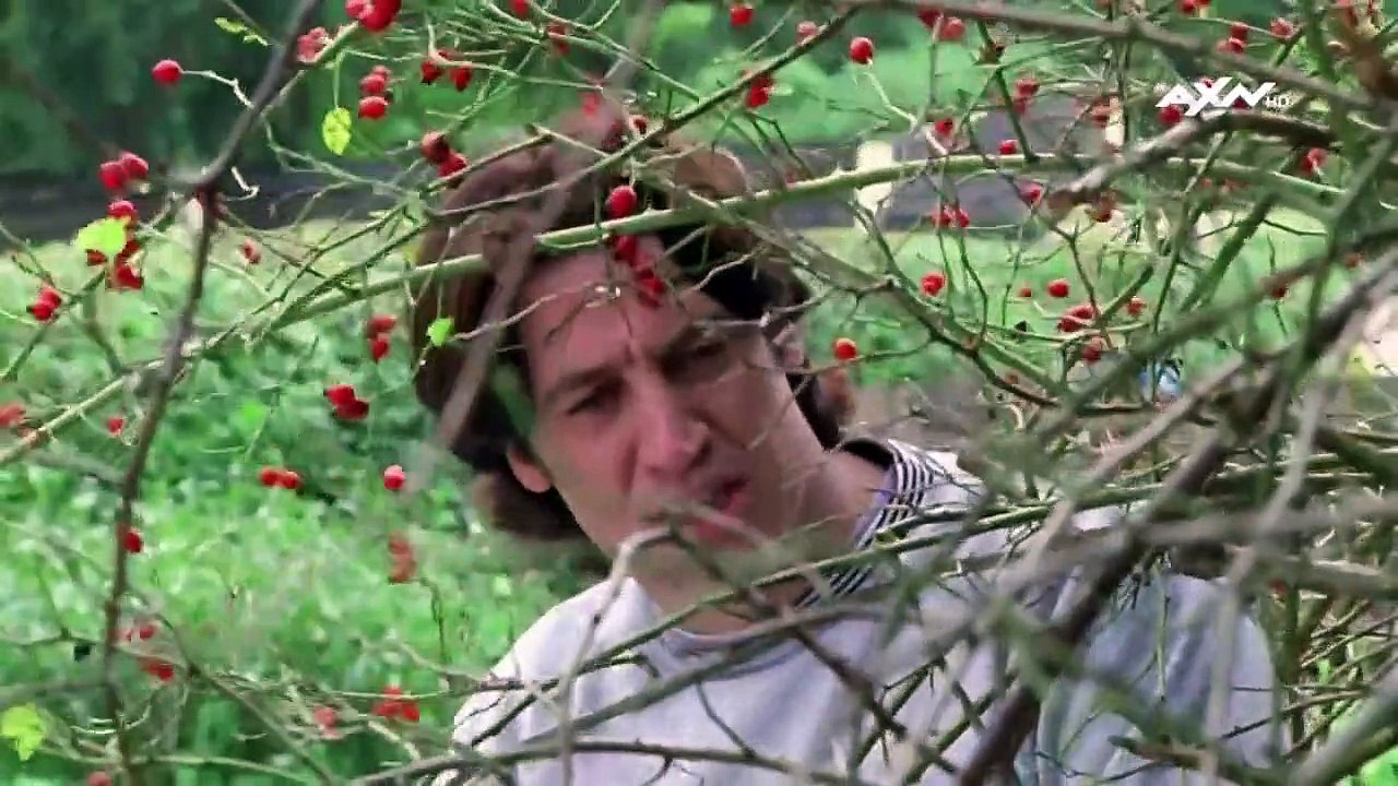 Kommissar Rex Staffel 2 Folge 5 HD Deutsch