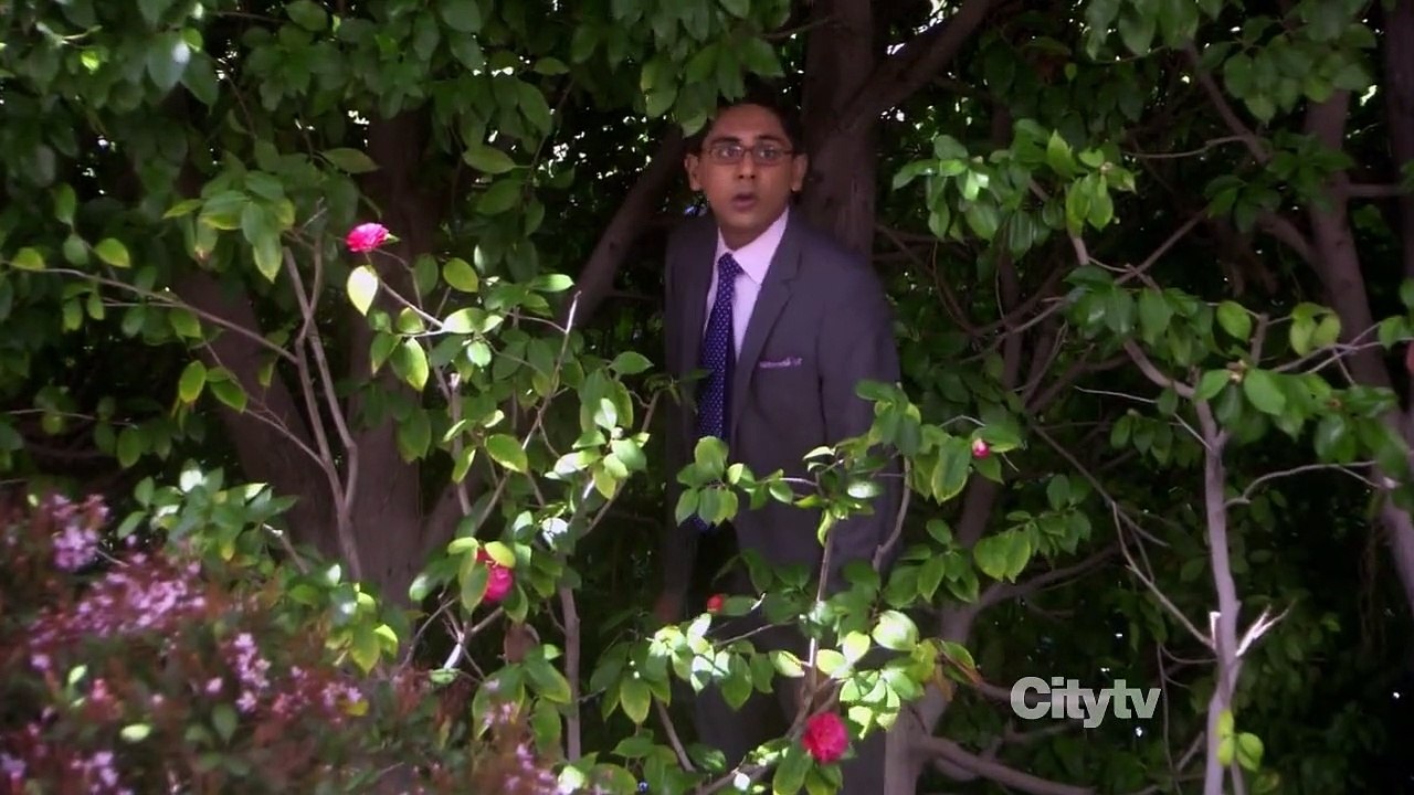 Rules of Engagement Staffel 5 Folge 23 HD Deutsch