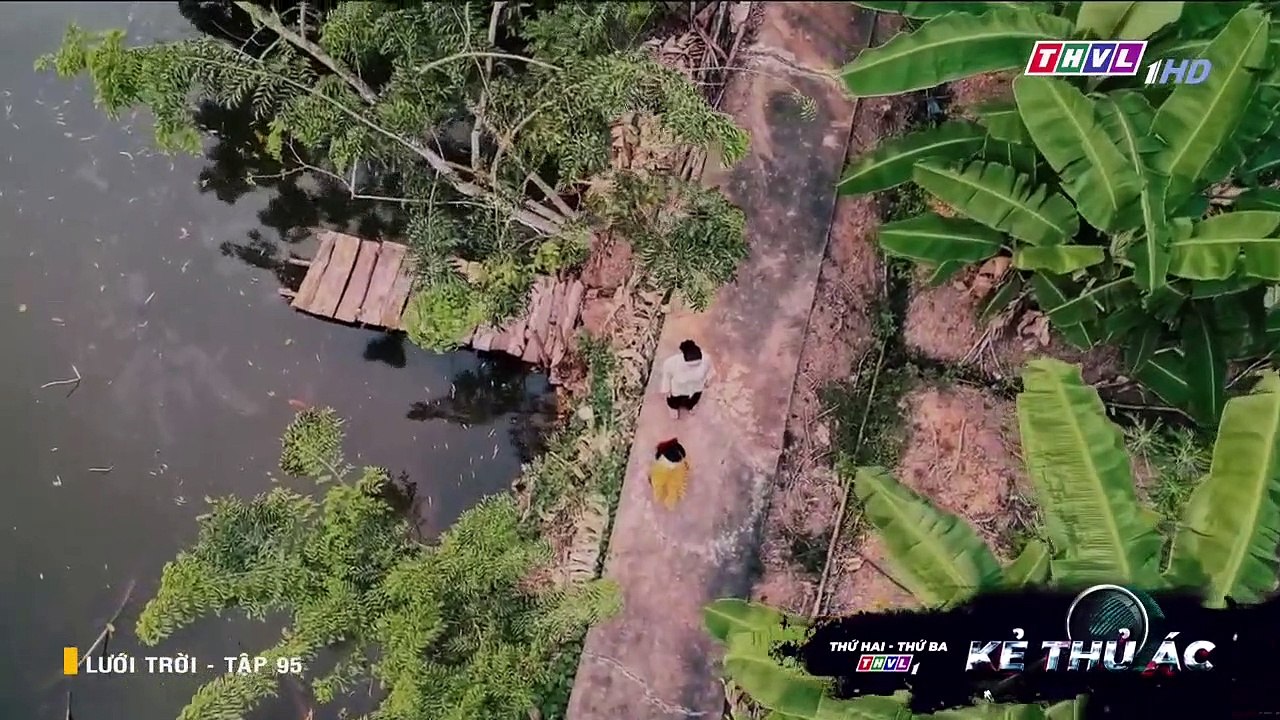 phim luoi troi tap 95 - thvl1 xem tap 96 full