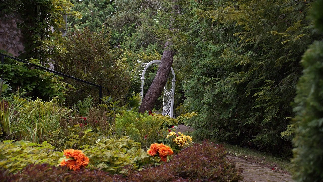 Good Witch Staffel 5 Folge 1 HD Deutsch video Dailymotion