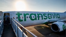 Transavia : dix heures de retard pour les passagers d'un vol Oran-Montpellier
