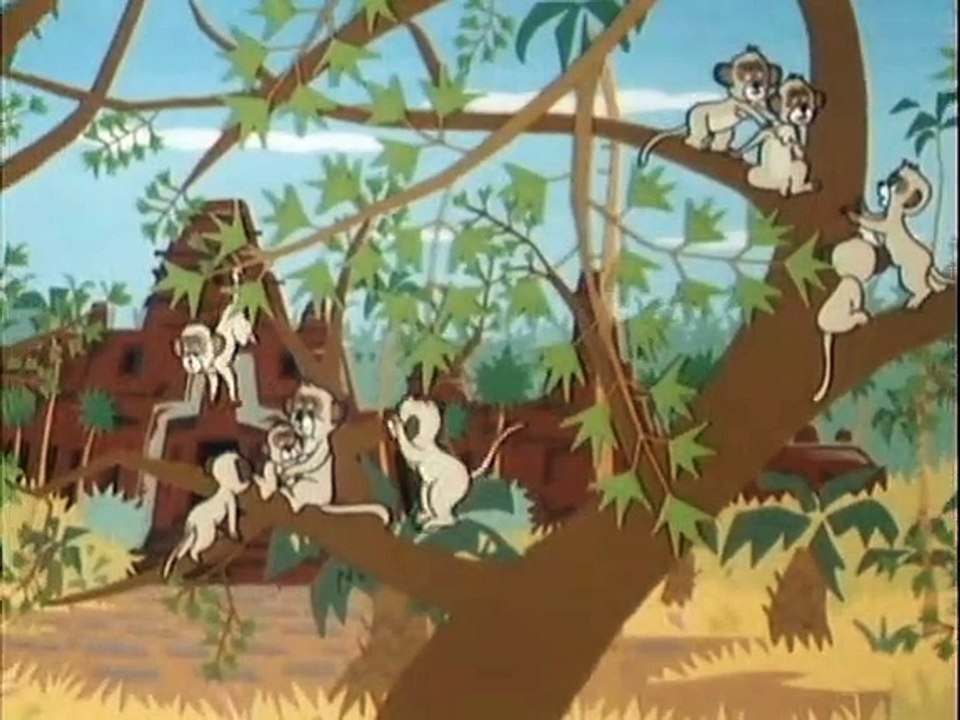 Tao Tao - Tiergeschichten aus aller Welt Staffel 1 Folge 5 HD Deutsch