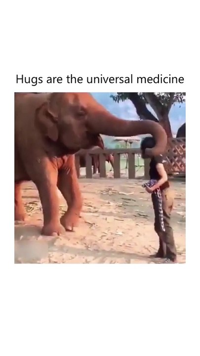 Hugs Are Universal Medicine