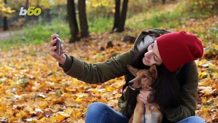 What is the Perfect Fall Temperature?